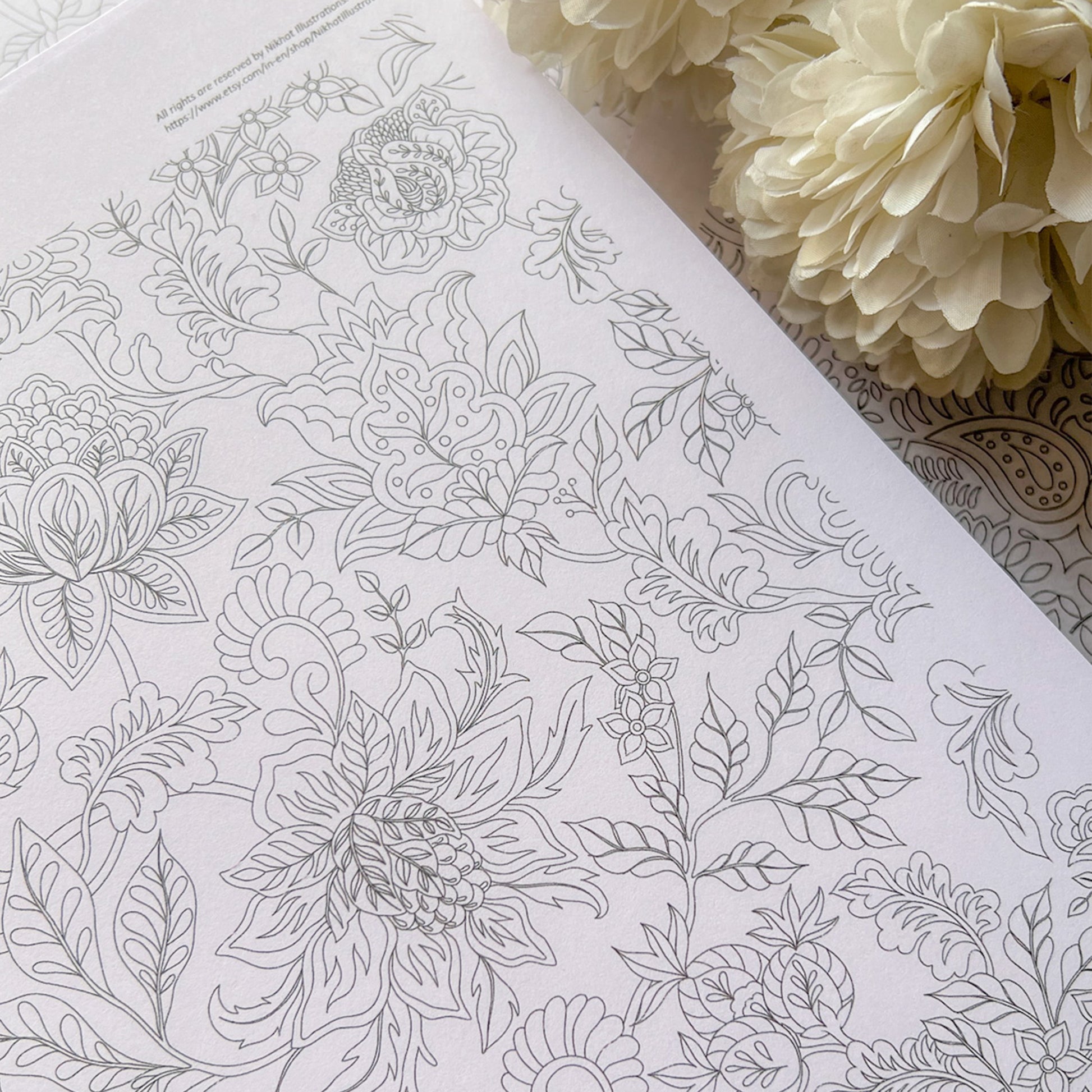 2,000 Adult Coloring Pages (Free PDF Printables)